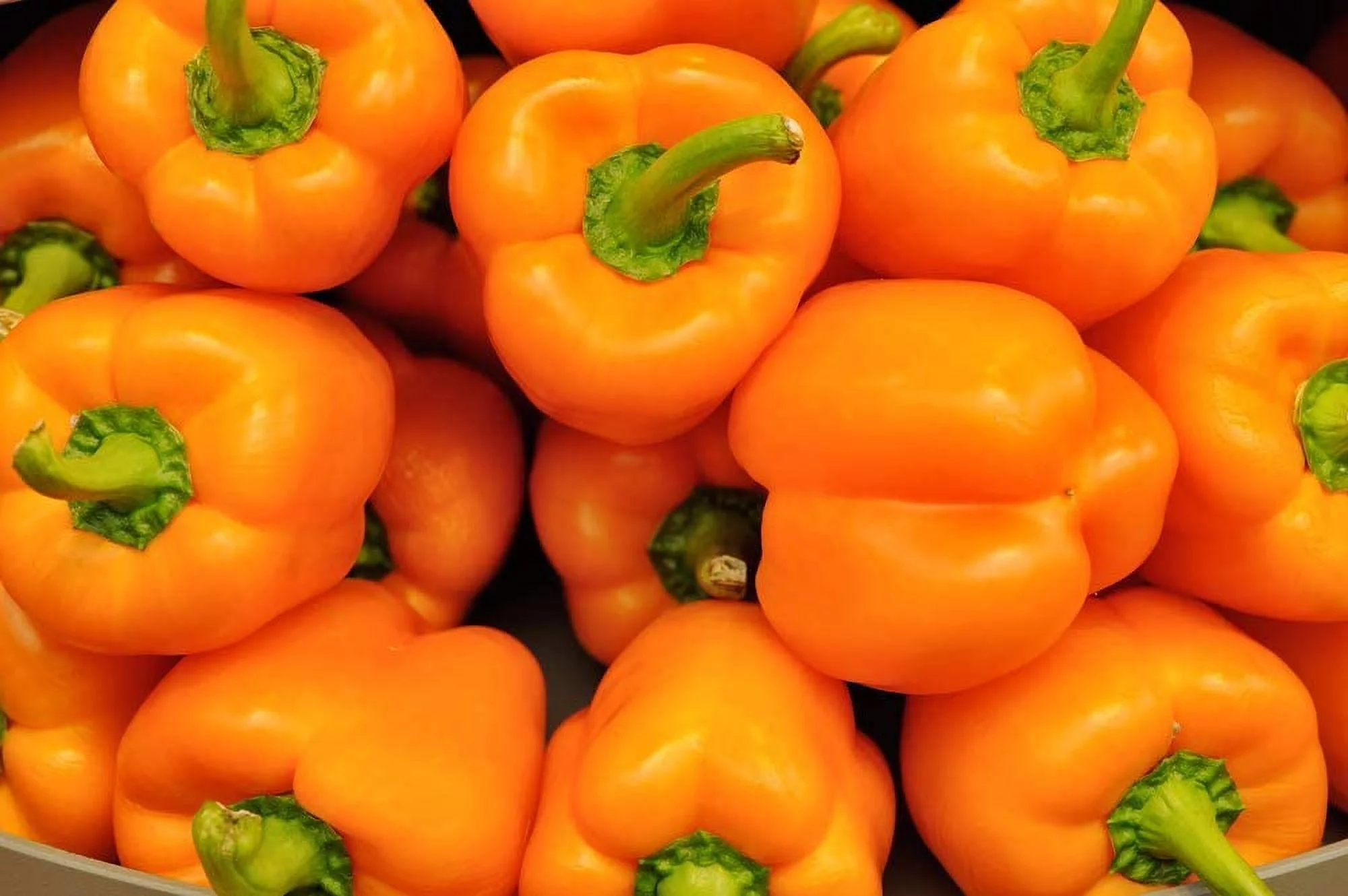 Orange Sun Sweet Bell Pepper Seeds, 100 Heirloom Seeds Per Packet, Non GMO Seeds