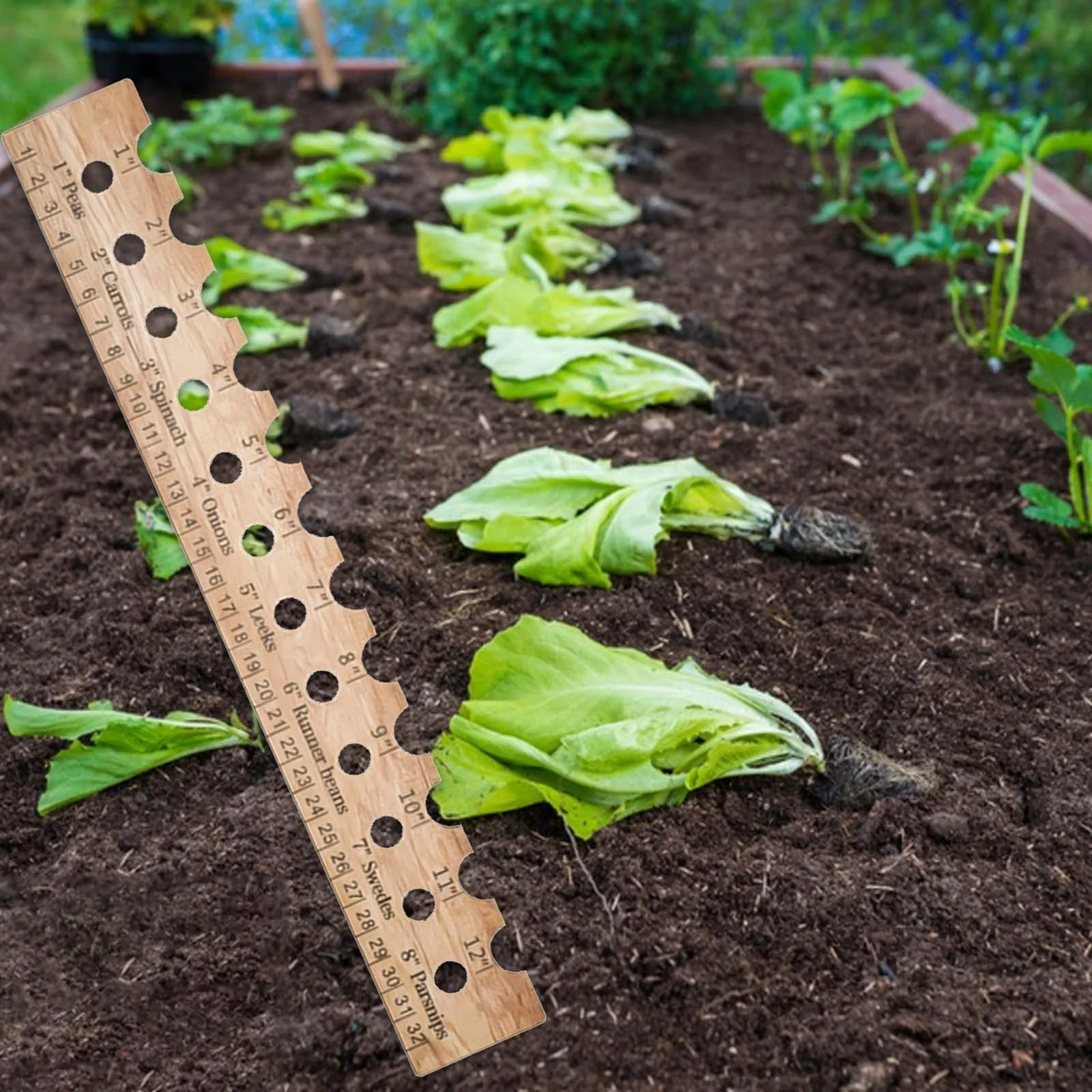 Colaxi Wooden Plant Ruler, Seed Spacer Tool with Holes, Wooden Plant Seed Spacing, Seed Spacer Tool for Vegetables, Backyards, Orchards