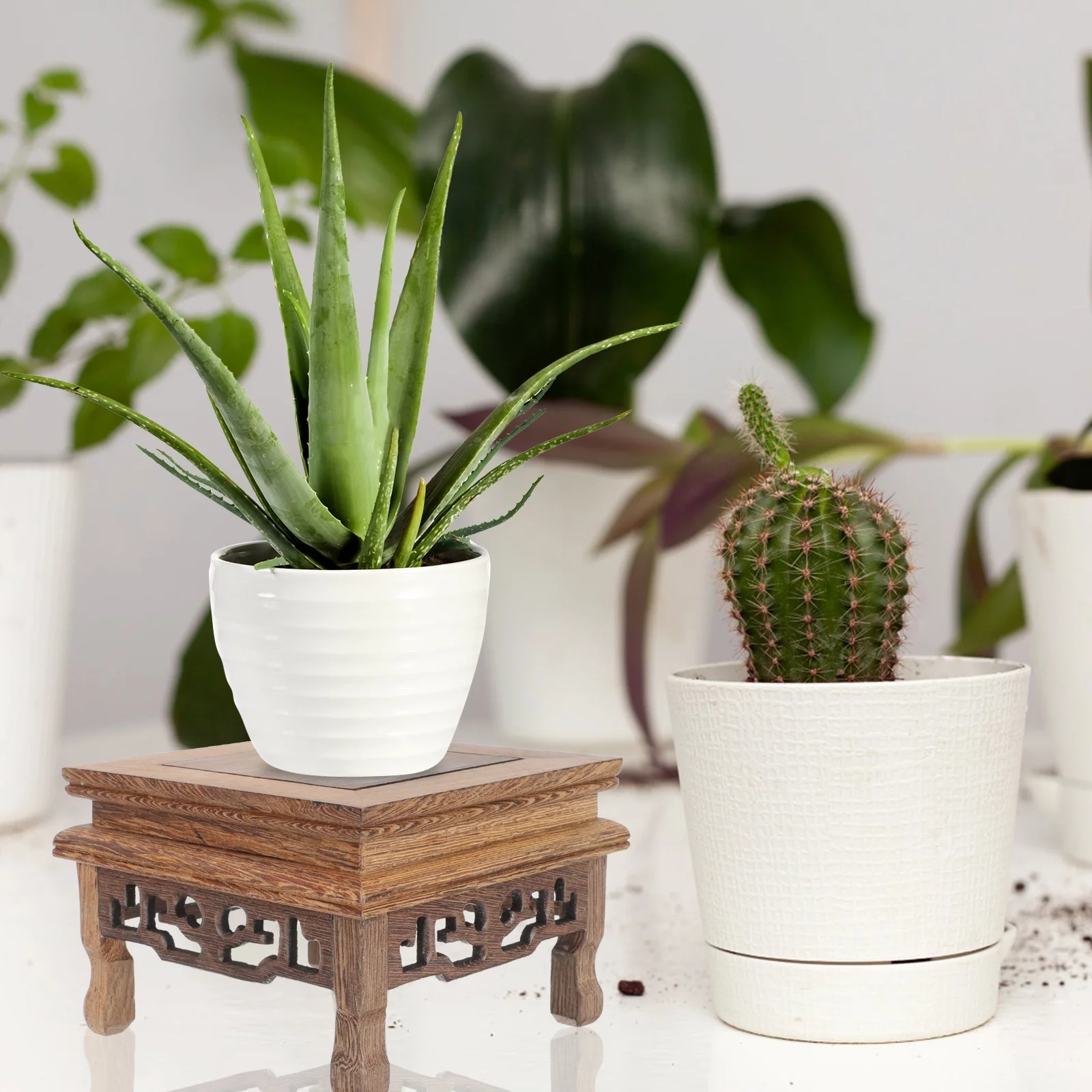 Qumonin Wooden Plant Stand Flower Pot Holder Vase Pedestal Display Stand