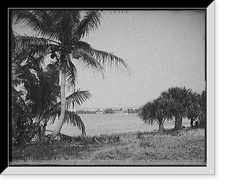 Historic Framed Print, [Lake Worth and Royal Poinciana, Palm Beach, Fla.], 17-7/8