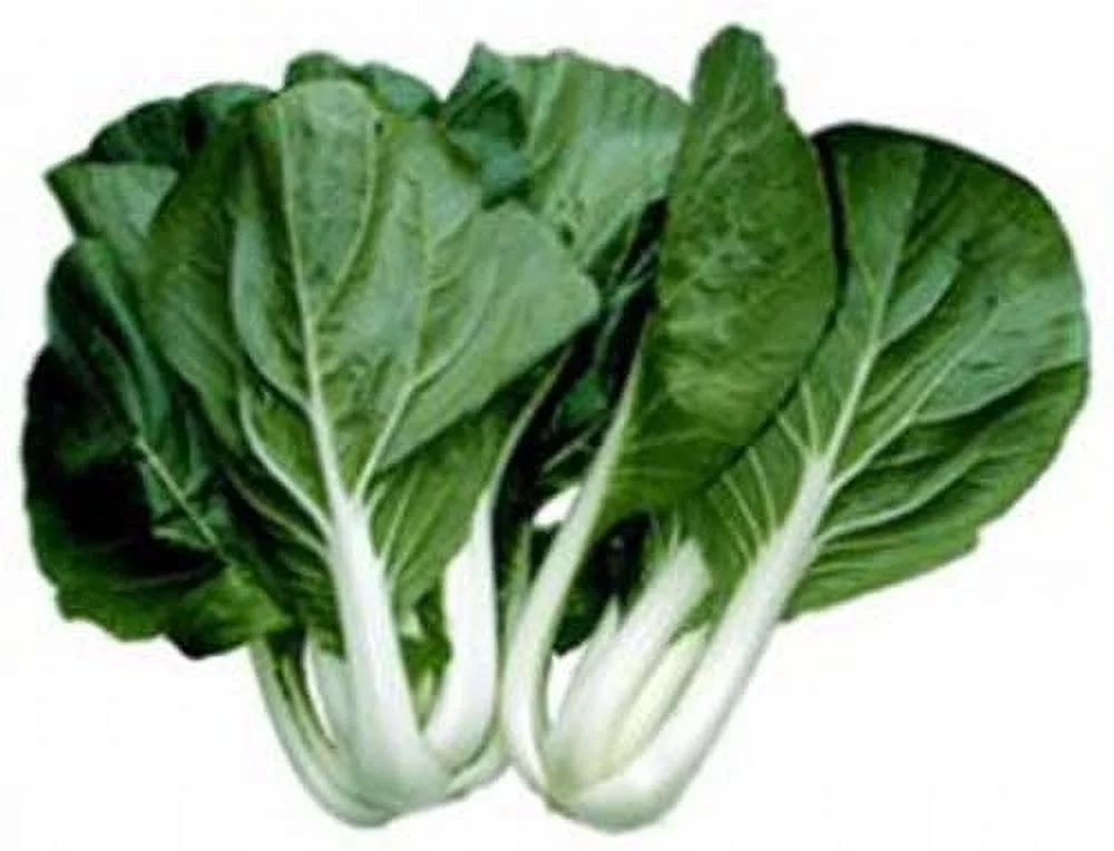 Cabbage PAK Choi White Stem Great Heirloom Vegetable 2,500 Seeds