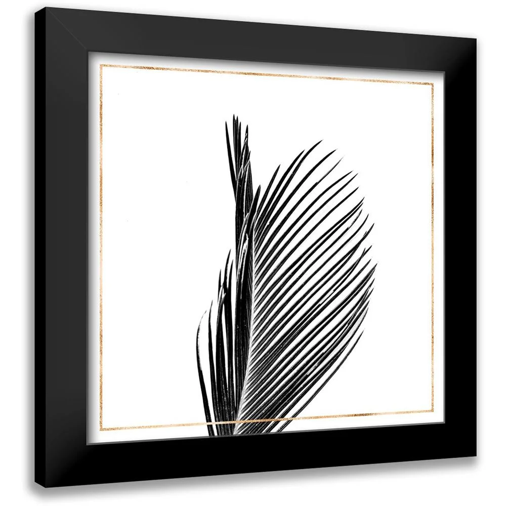 Atelier B Art Studio 12x12 Black Modern Framed Museum Art Print Titled - ARECA PALM WITH GOLD LINE