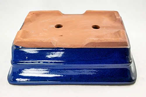 Rectangular Bonsai/Cactus & Succulent Pot 10