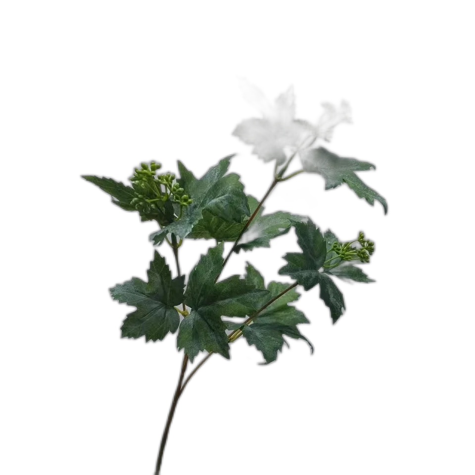 INS Hand Hand Plucking Yougeli Single Wedding Flower Decoration Fine Eucalyptus leaves with fruit