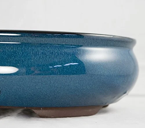 Oval Mame Shohin Bonsai/Cactus & Succulent Pot + Mesh 5