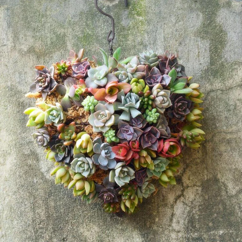 Heart Succulents Pot Hanging Planter Plant Holder Basket Made of Iron Wire