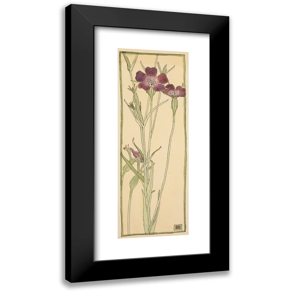 Hannah Borger Overbeck 8x14 Black Modern Framed Museum Art Print Titled - Corn Cockle (circa 1915)