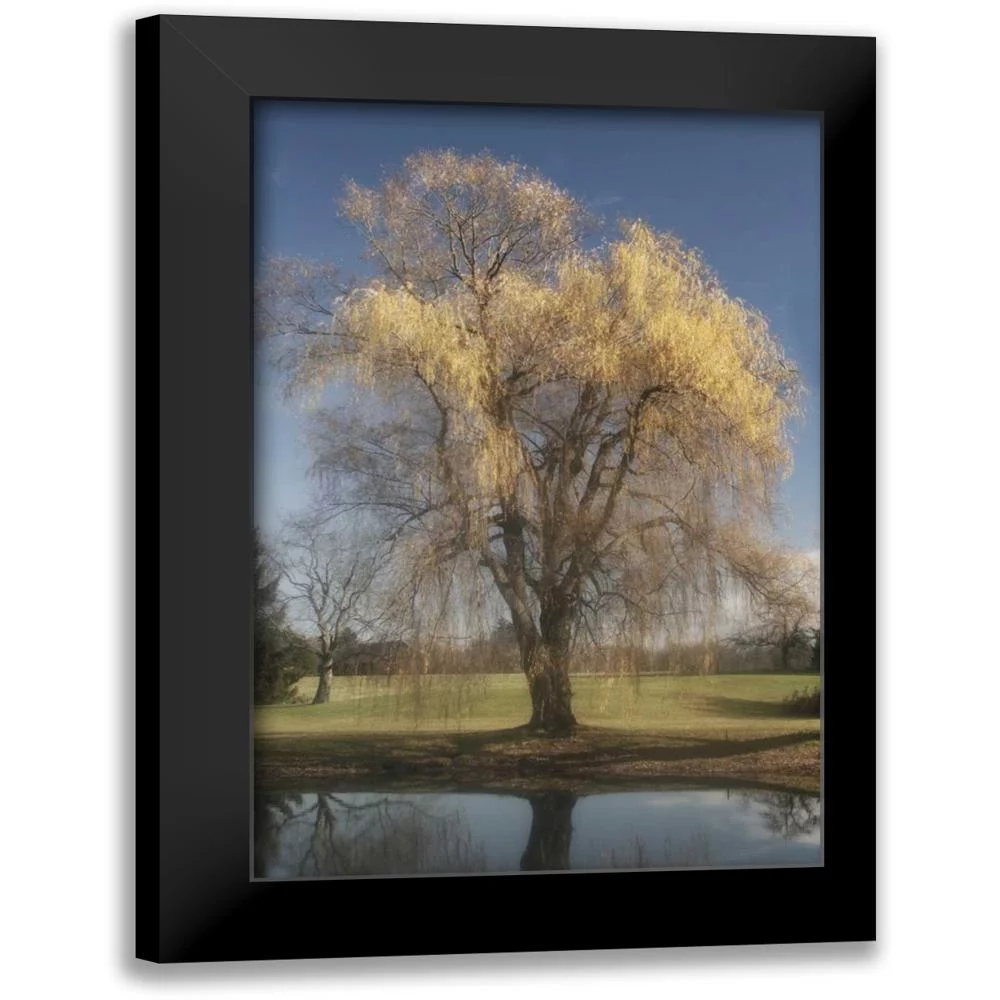 Vitaly, Geyman 11x14 Black Modern Framed Museum Art Print Titled - Willow Magic II
