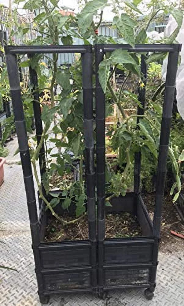 Climbing Vegetable & Tomato Planter with Wheels & 14