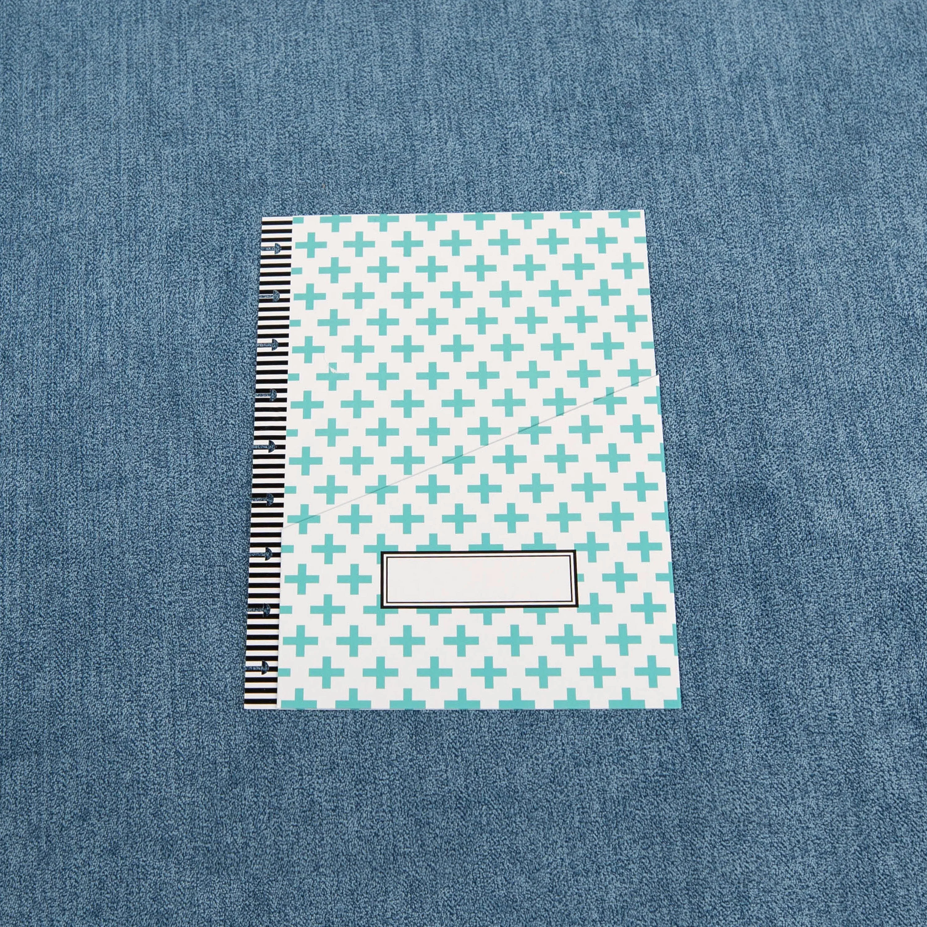 The Happy Planner - CLASSIC Budget Extension Pack