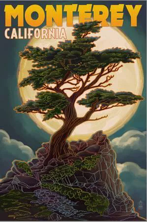 Monterey, California  Cypress and Full Moon, Stretched Canvas Wall Art by Lantern Press Sold by Art.Com
