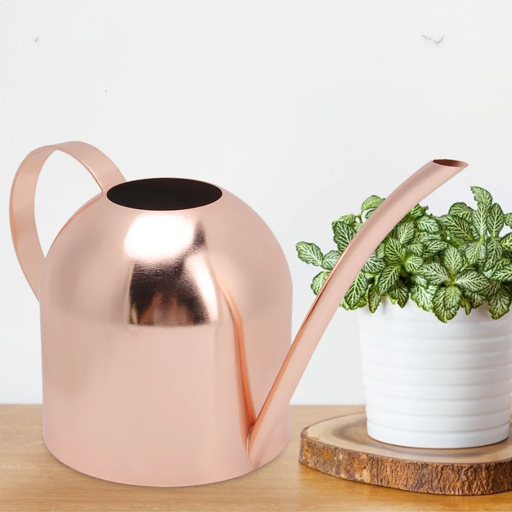 Jadeshay Watering Can 1000ml Stainless Steel Watering Can Sprinkle Pot Long Mouth Garden Flowers Plants Water Container