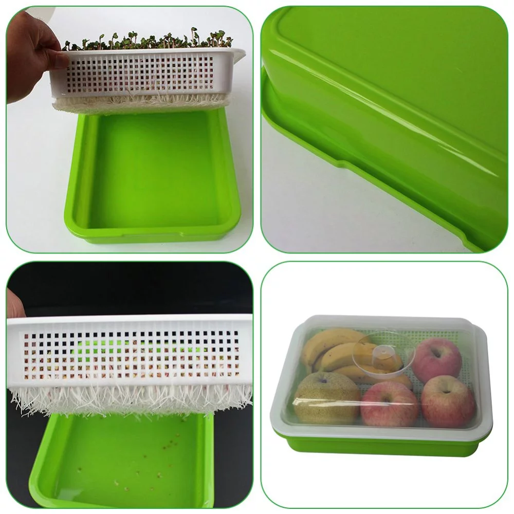 Style That Baby Seed Sprouter Tray Seed Sprouter Tray Seed Sprouter Tray Double Layer Soilless Tray Germination