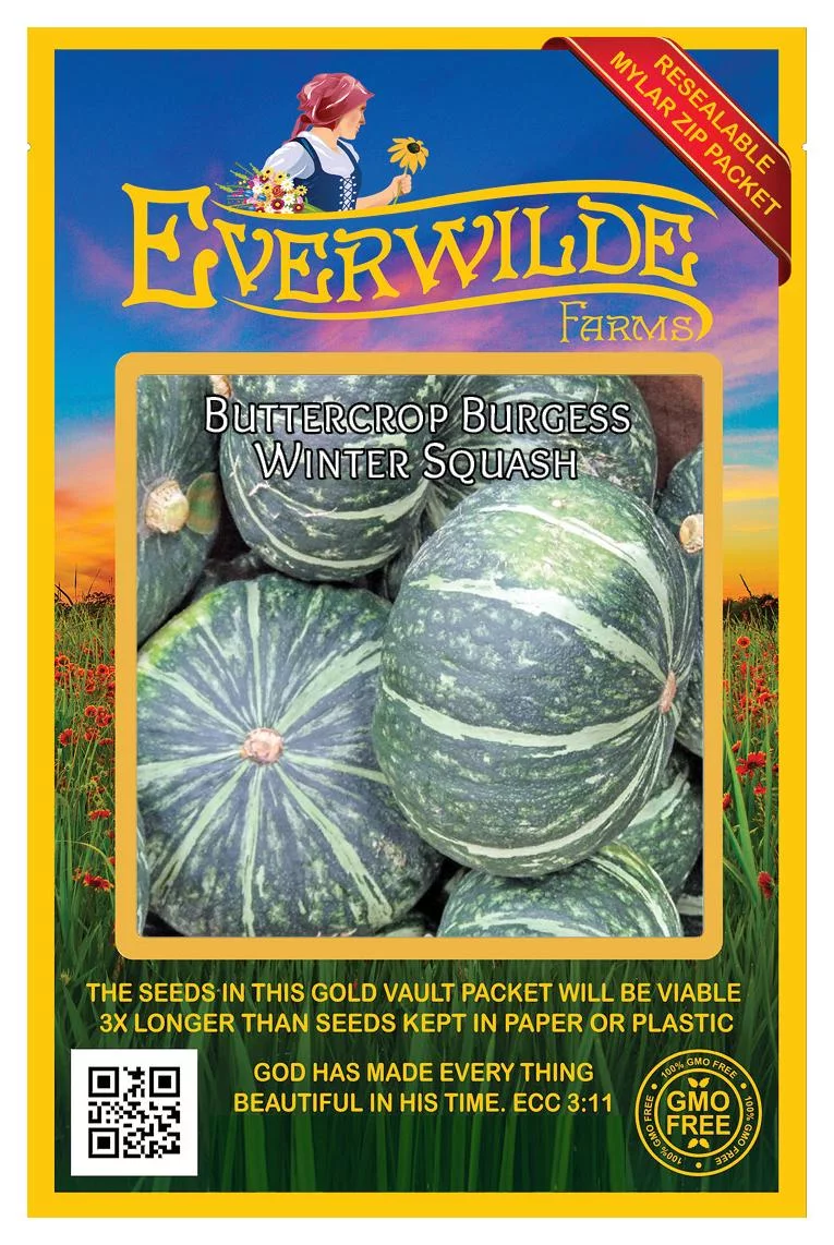 Everwilde Farms - 40 Buttercrop Burgess Winter Squash Seeds - Gold Vault Jumbo Bulk Seed Packet
