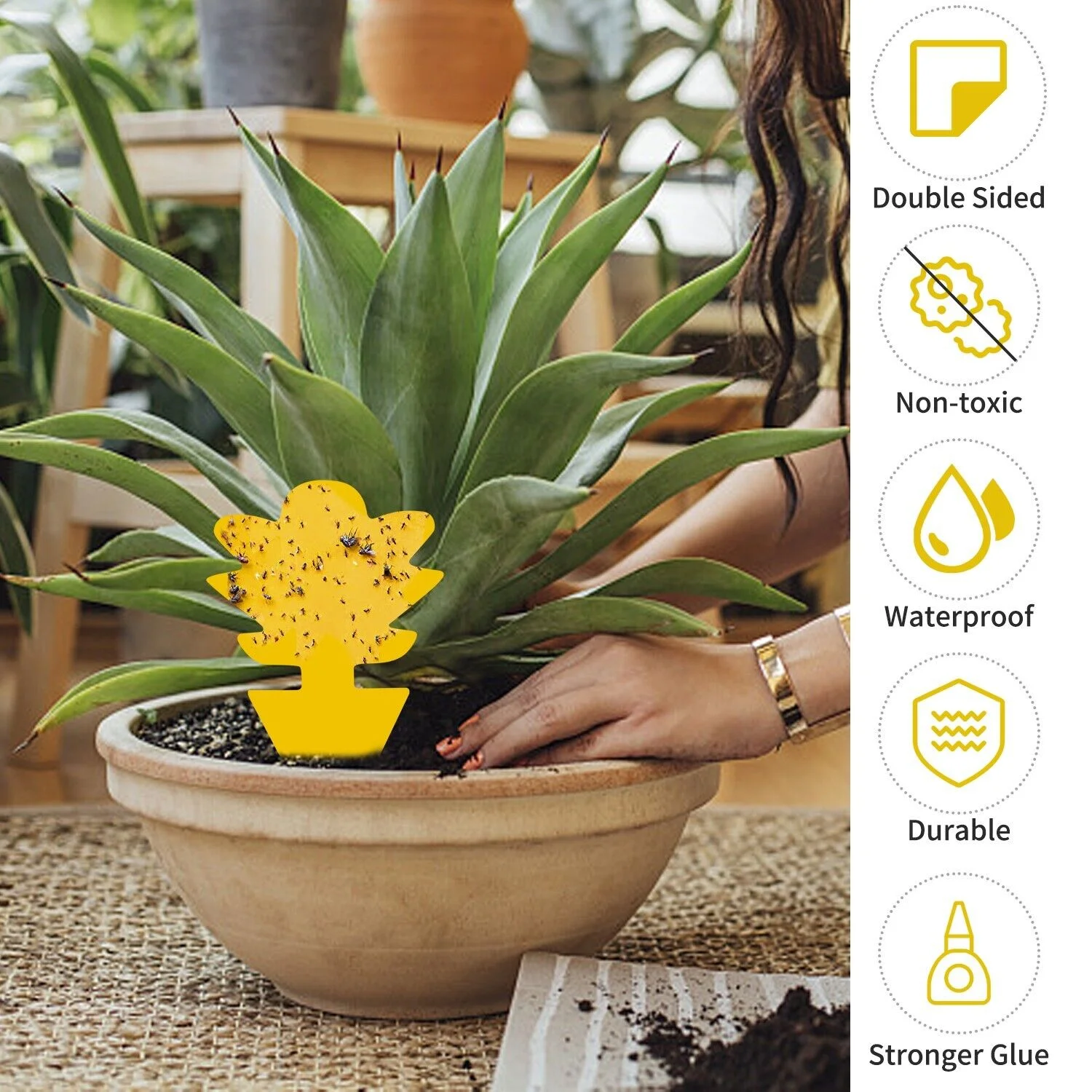 100x Garden Nursery Plastic Pots Flower Plant Container Seed With Label＆Fly Trap