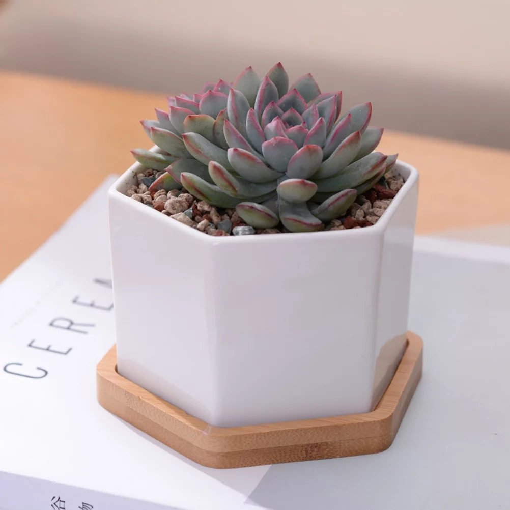 2 Sets Ceramic Hexagonal Succulent Containers Plant Pot Cactus Planter Pot with Bamboo Tray