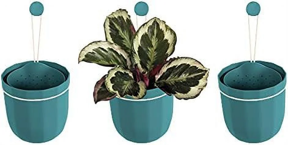 Hanging Planter, Indoor Flowerpot, Hanging Planter for Indoor and Outdoor Planting, Mount or Ceiling (Teal, 3 Pack)
