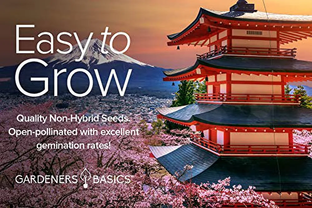 Gardeners Basics, Asian Vegetable Seeds for Planting 8 Packets Bok Choy, Michihili (Napa) Chinese Cabbage, Tatsoi, Onion, White Radish, Serrano, Eggplant for Your Non GMO Heirloom Vegetable Garden