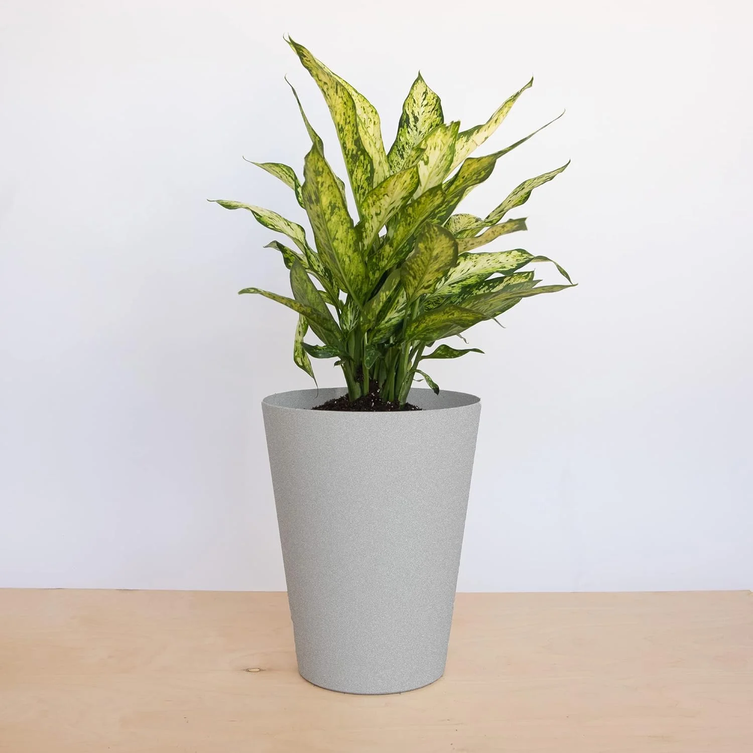 Tall Finley Tapered Round Planter: 14