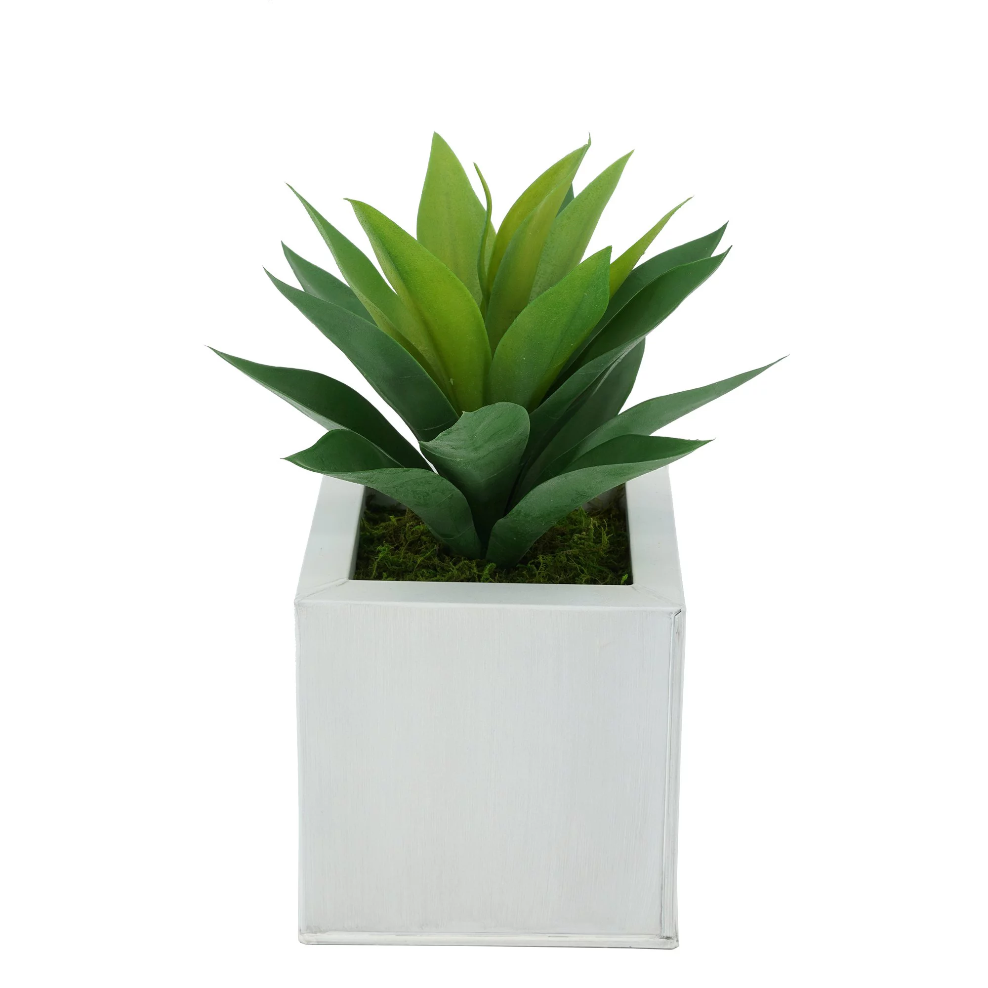 House of Silk Flowers Faux Frosted Light Green Succulent in Square Zinc Pot (Cream)