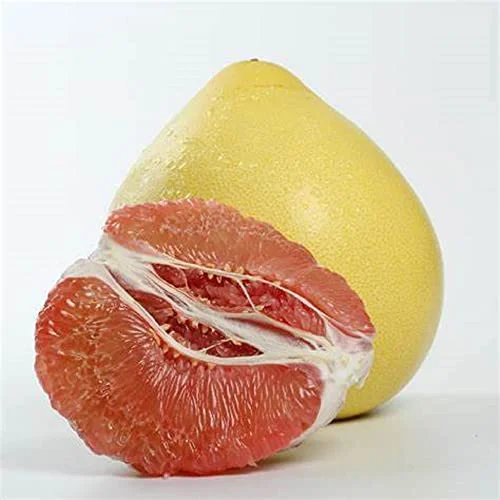 CHUXAY GARDEN 45 Seeds Red Shaddock Pomelo, Pummelo,Grapefruit Fruit Tree Sweet Organic Non-GMO Fruit