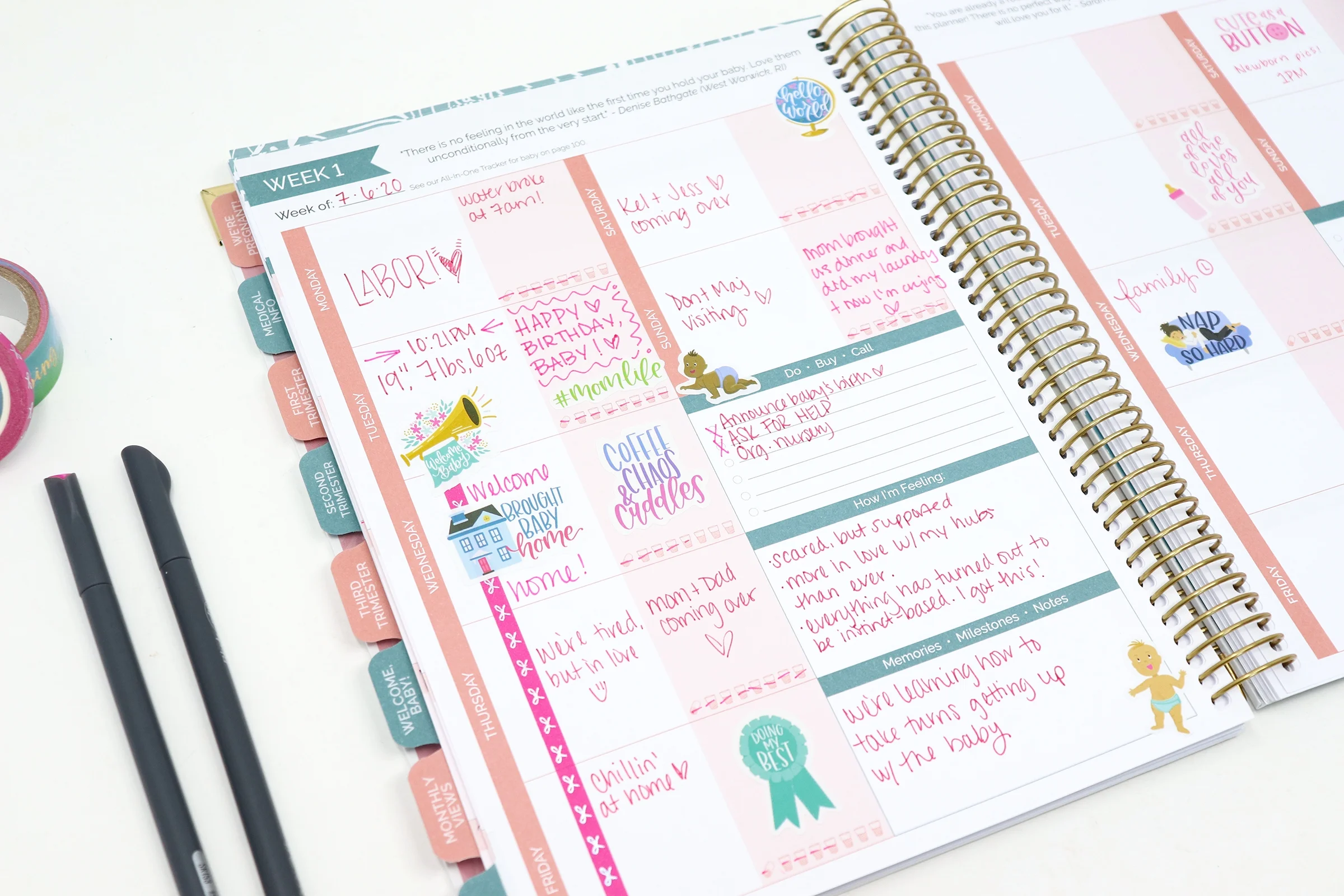 bloom daily planners Pregnancy & Baby's First Year Planner & Calendar, 9