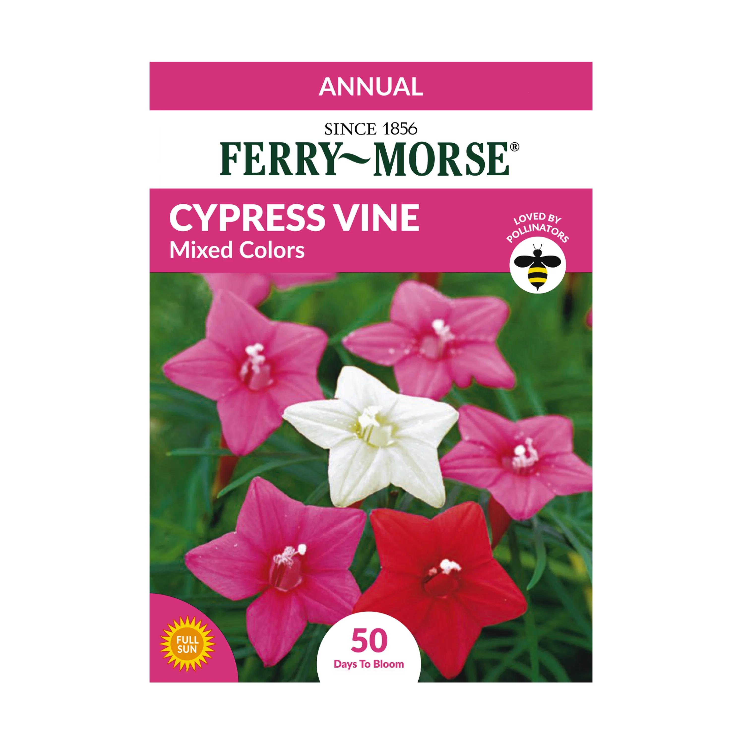 Ferry-Morse 37.5MG Cypress Vine Mixed Colors Annual Flower Seeds Full Sun