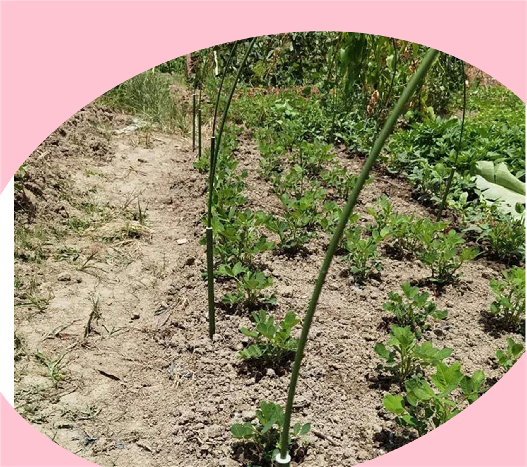 Hoop House Kit Greenhouse Frame Garden Hoops and Netting Row Tunnel Grow Support (6 Pack)