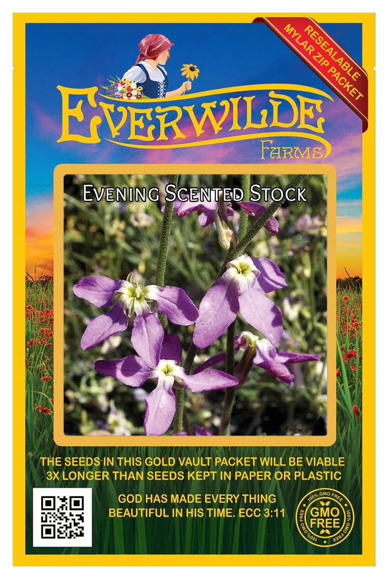 Everwilde Farms - 1000 Evening Scented Stock Garden Flower Seeds - Gold Vault Jumbo Bulk Seed Packet