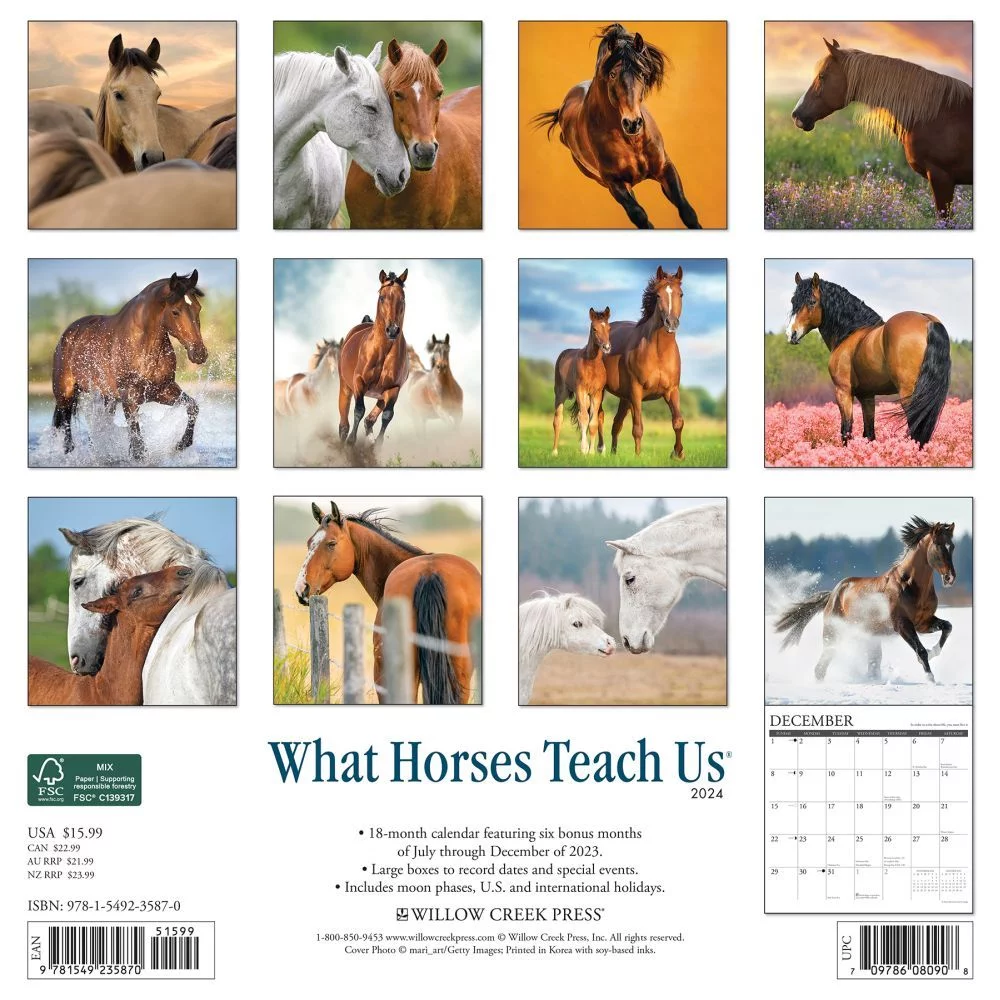 What Horses Teach Us 2024 12 X 12 Wall Calendar (Other)