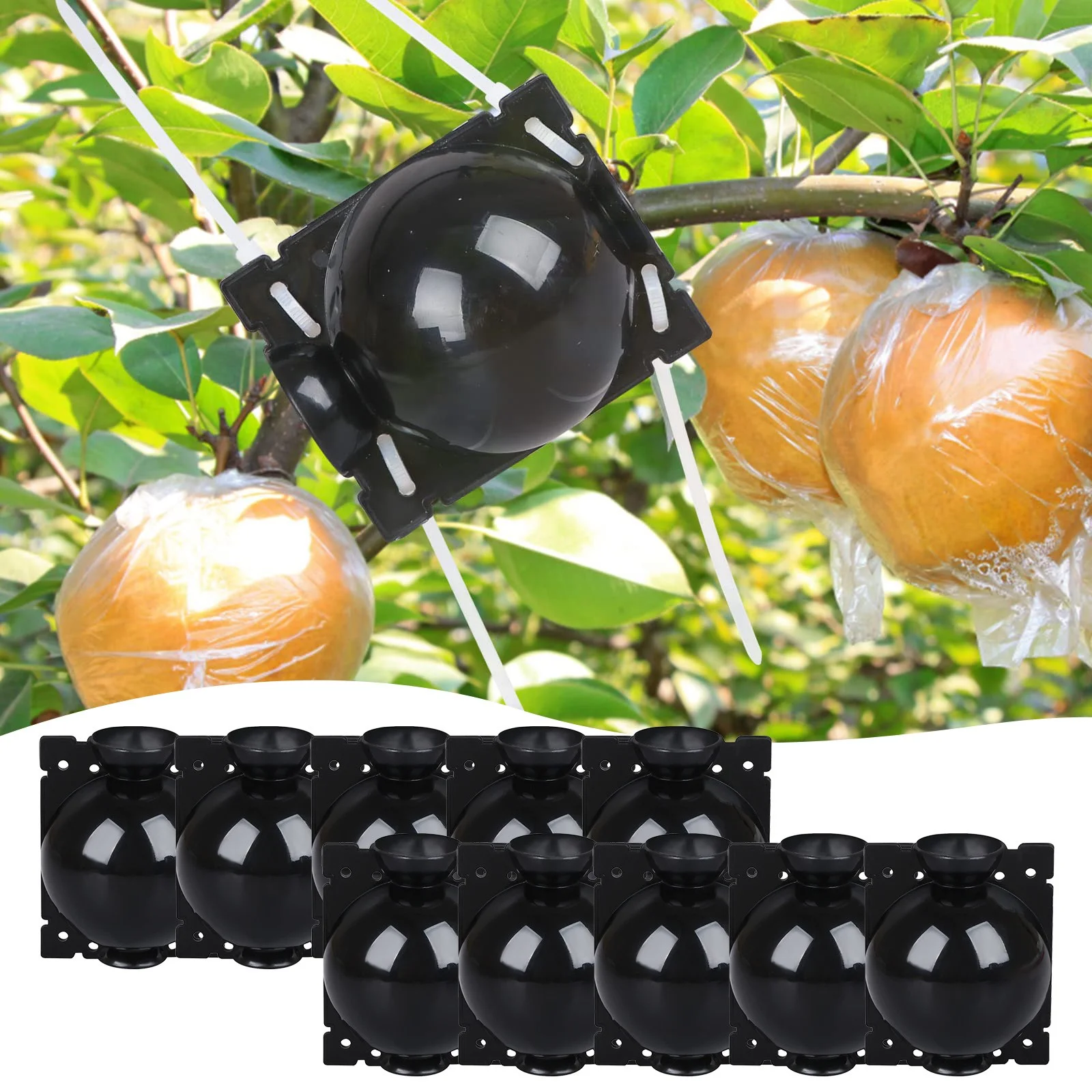 YDNGF 10PCS Plant Rooter Plants for Grafting and Rooting Rooting for Garden Outdoor Soil Medium Vase Garden Tree Grafting Rooting Device