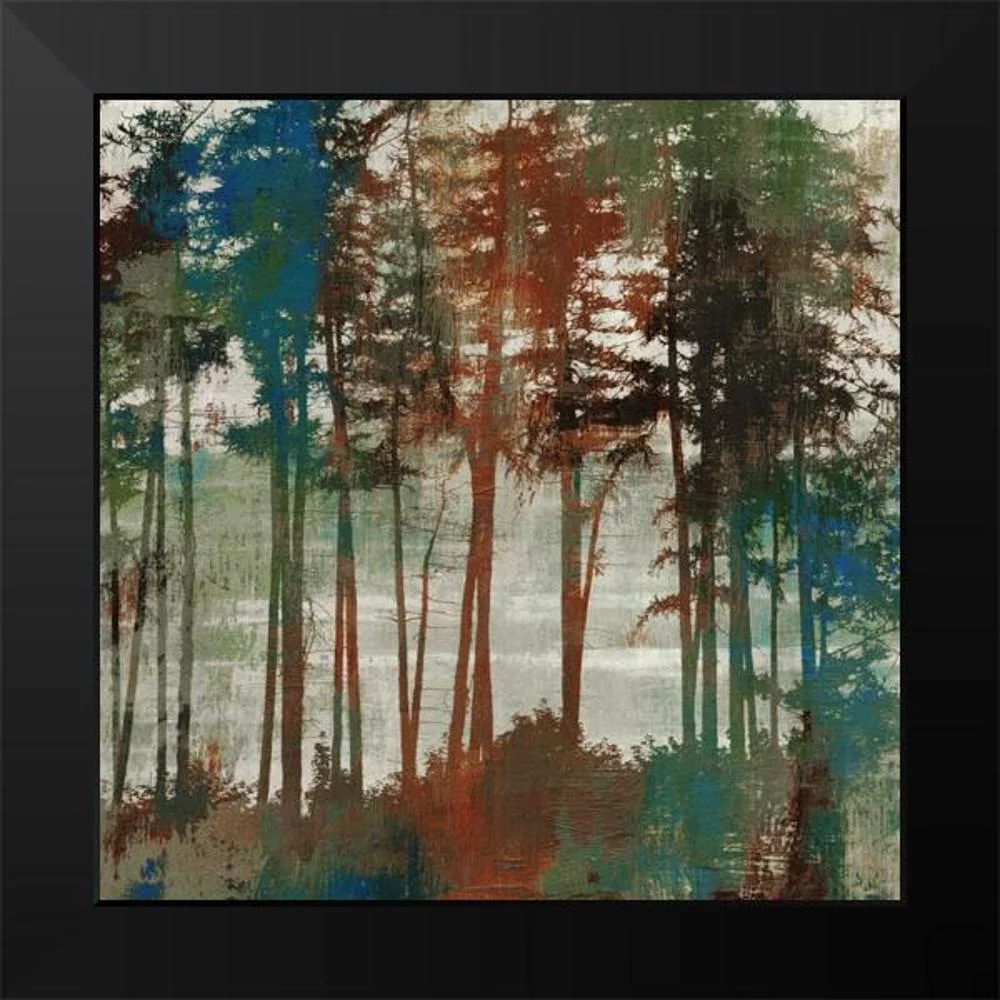 PI Studio 12x12 Black Modern Framed Museum Art Print Titled - Spruce Woods