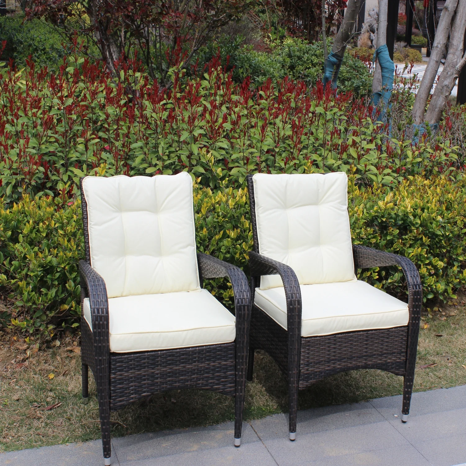 Beige Cushion 2-Piece Liberatore Dining Chairs - Comfortable and Stylish Outdoor Patio Furniture for Relaxing Meals and Gatherings