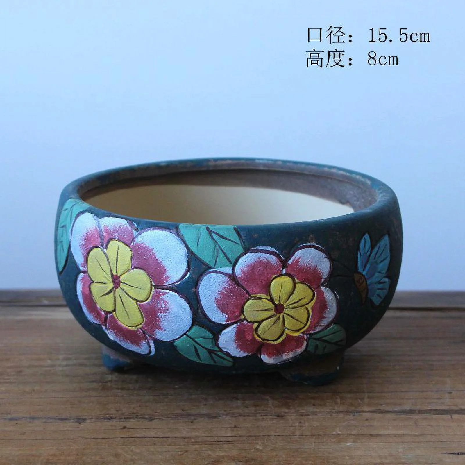 LivNxt Hand-painted Ceramic Succulent Planter, Large Diameter Coarse Pottery Succulent Pot, Succulent Arrangement