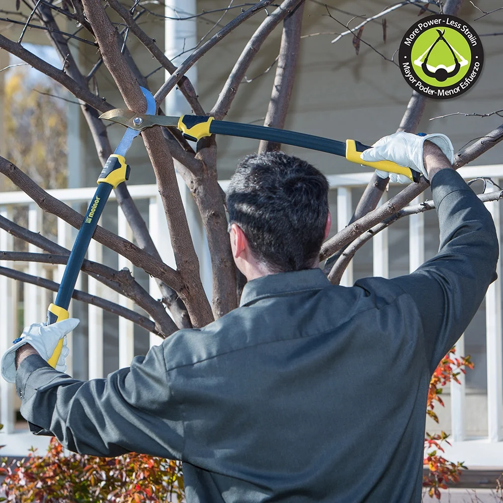 Talon Pruner/Lopper Combo