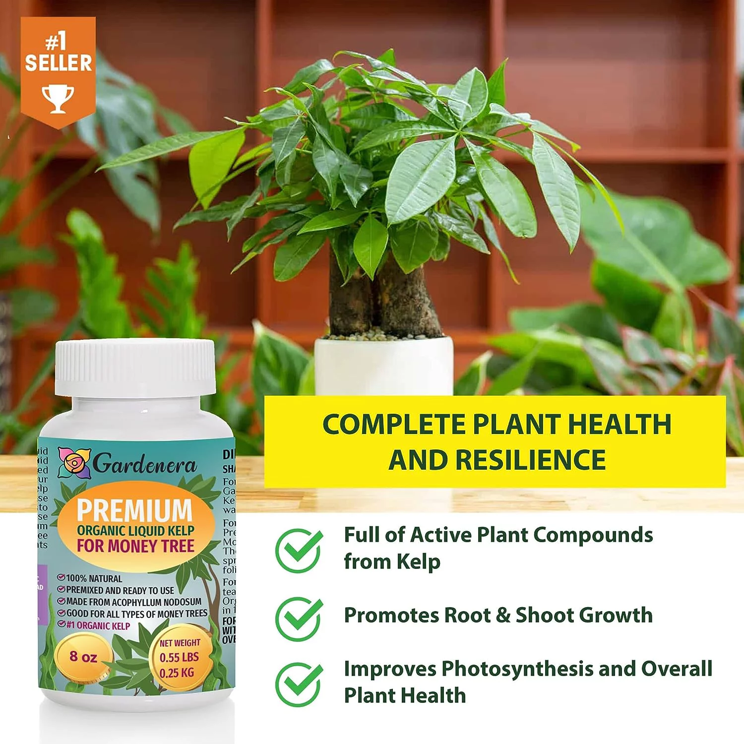 GARDENERA Organic Money Tree Elixir - 24 oz - Liquid Kelp Fertilizer for Enhancing Money Tree Beauty and Vitality