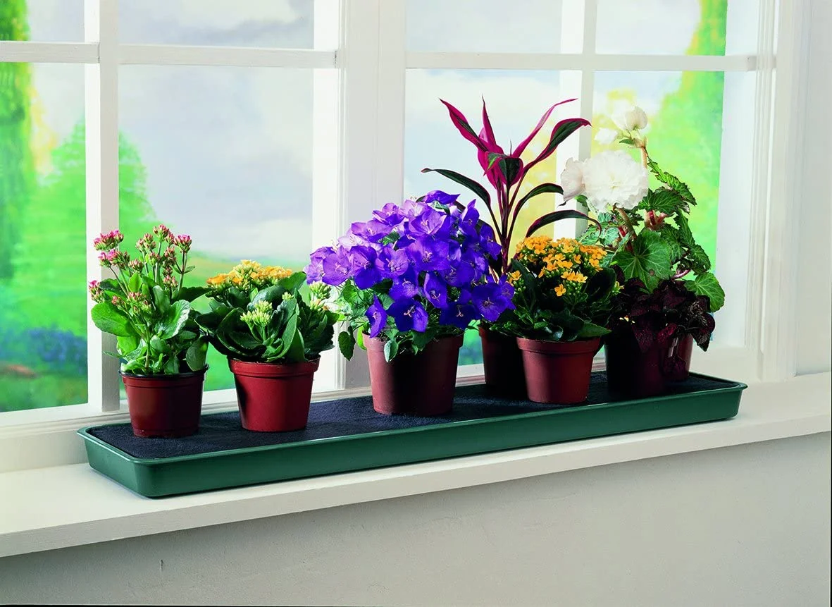 Tierra Garden GP71 Windowsill Self Watering Plant Tray