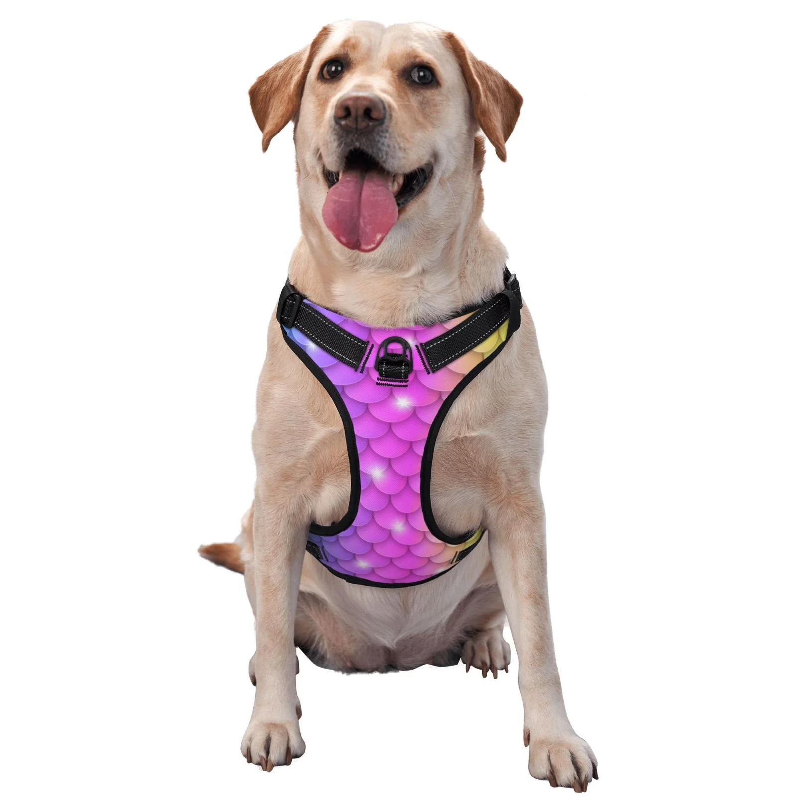 Coaee Rainbow Scales2 Dog Harness&Pet Leash Harness,Adjustable Dog Vest Harness For Training Hunting Walking,Outdoor Walking- Small