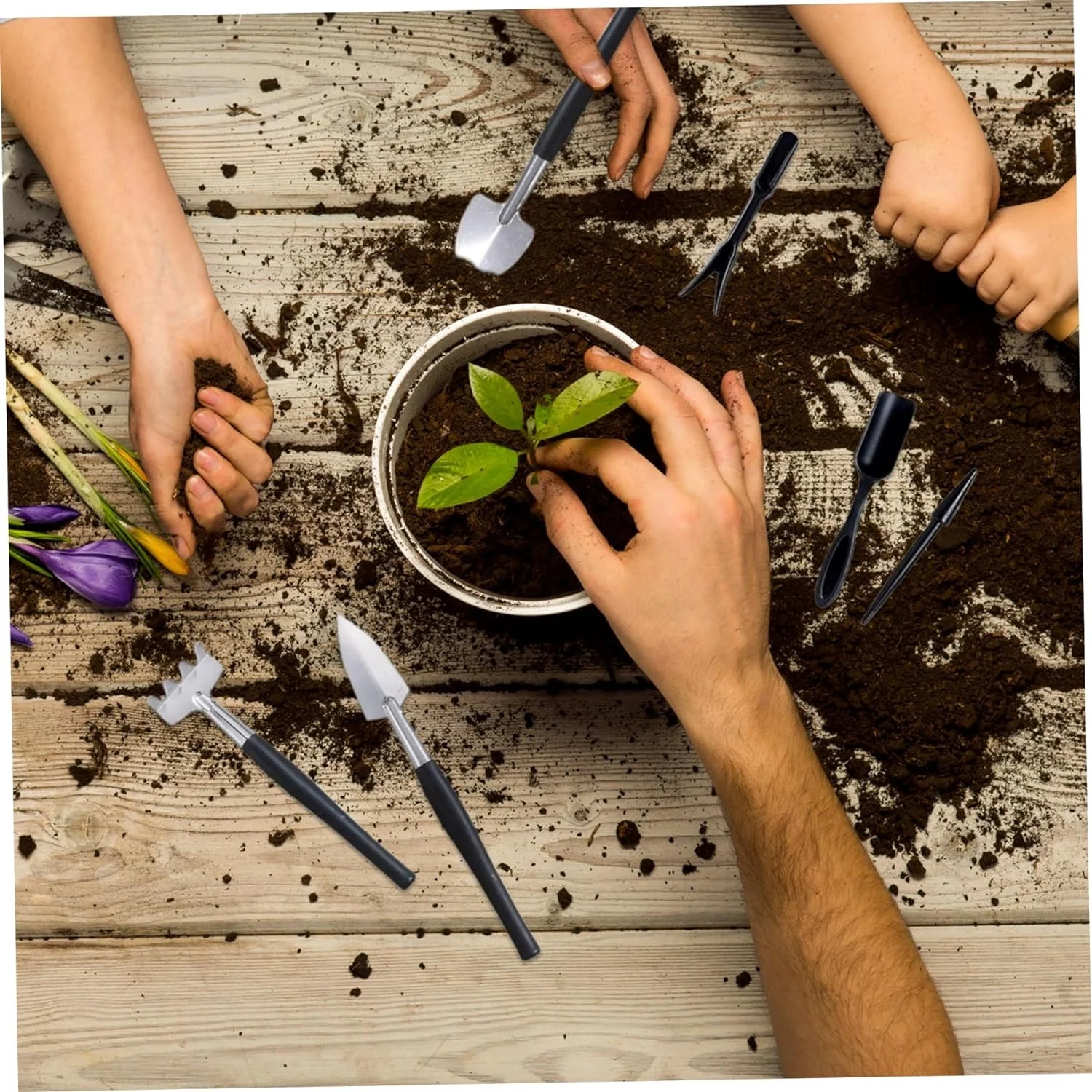 Professional 12Pcs/Set Terrarium Kit Garden Tools Set Mini Handheld Succulent Tool Kit for Transplanting Trimming Plants Care - Gardening Tools for Terrarium