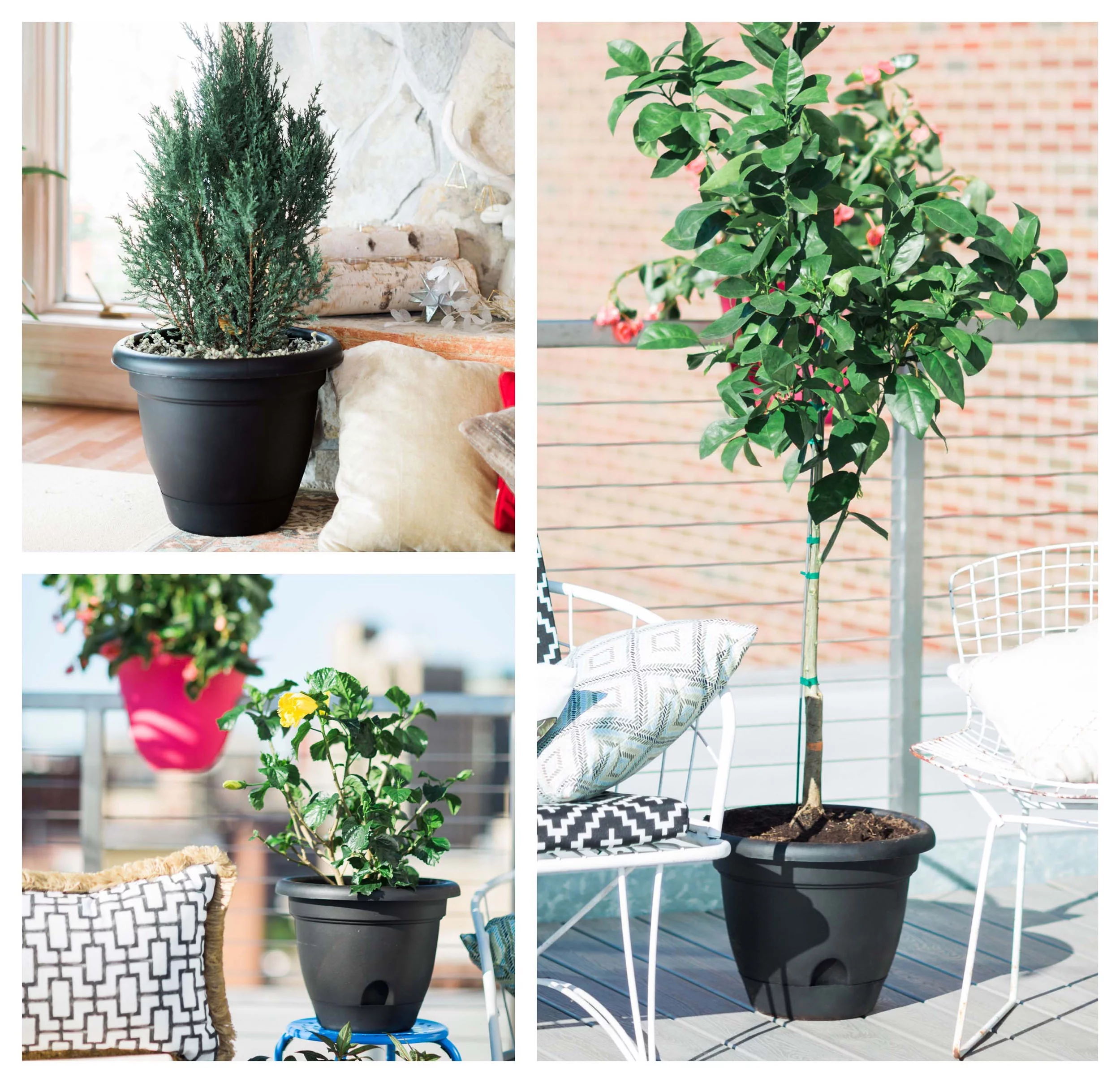 Bloem Lucca Self Watering Planter w/ Saucer 16 in. Charcoal