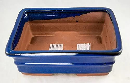Rectangular Bonsai/Cactus & Succulent Pot 10