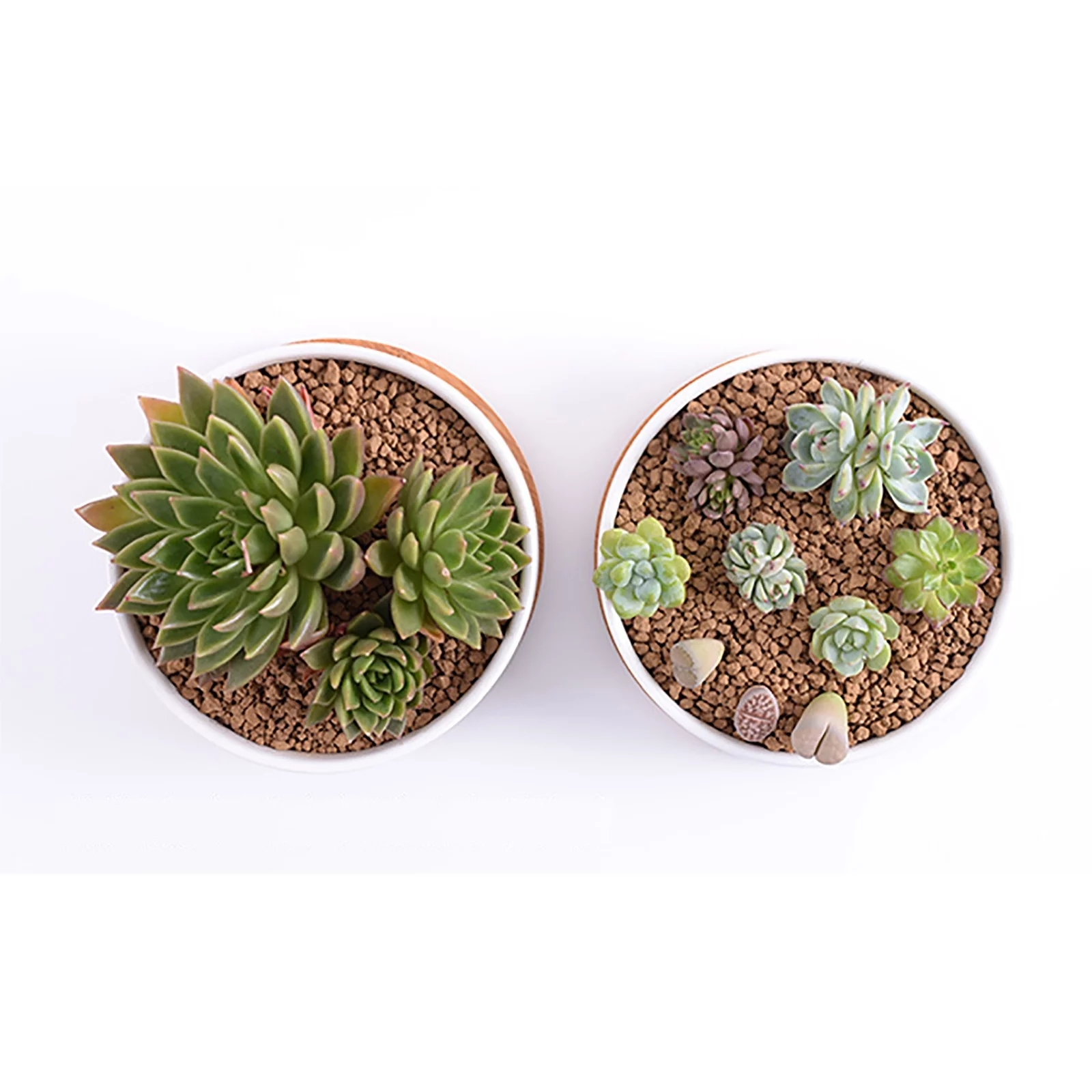 BELUPAI Environmentally Friendly Round Succulent Ceramic Flower Pot Bamboo Tray Creative Tabletop Tea Set Coaster