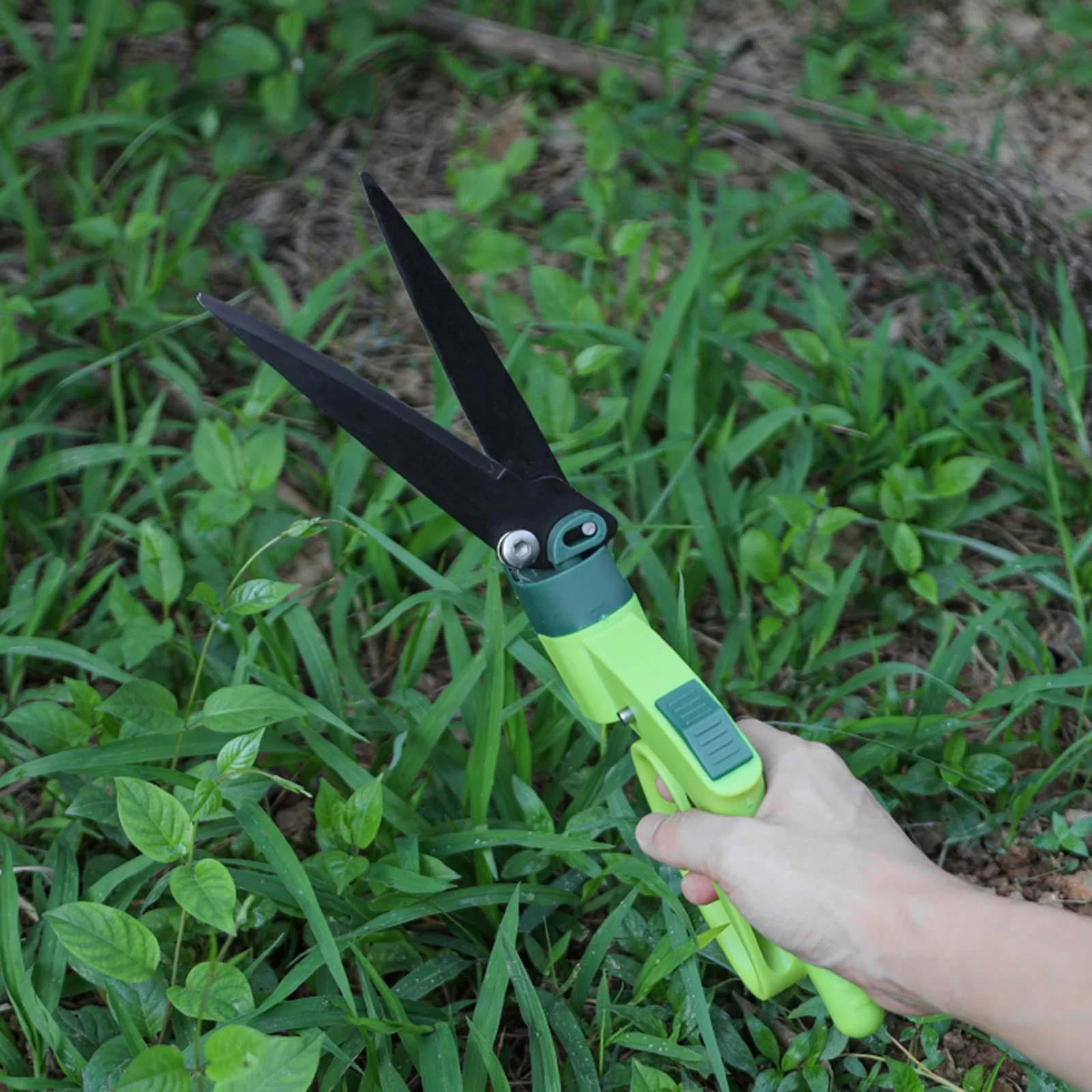 Gardening Pruning Shear pruners shear Grafting Grass shear Hedge shear, Garden shear for Trimming Plants, Branches, Orchard Bonsai Garden