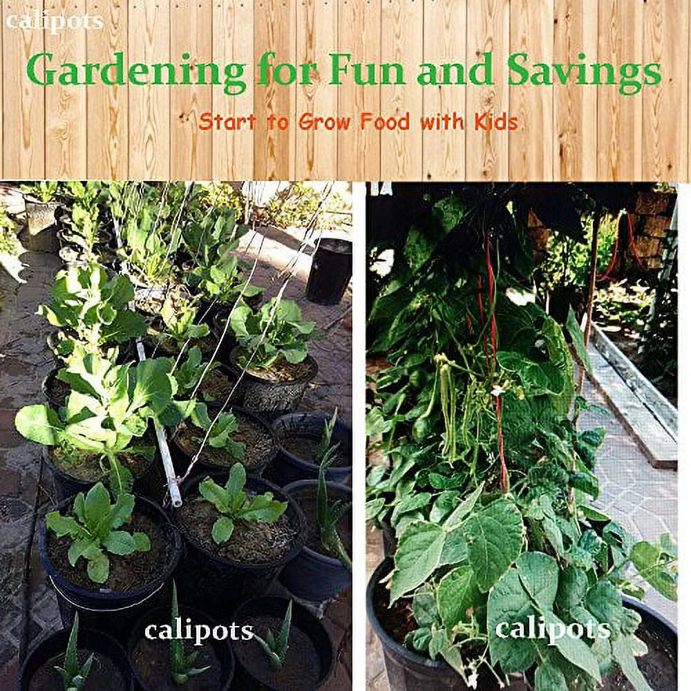 20-Pack 5 Gallon Premium Black Plastic Nursery Plant Container Garden Planter Pots (5 Gallon)