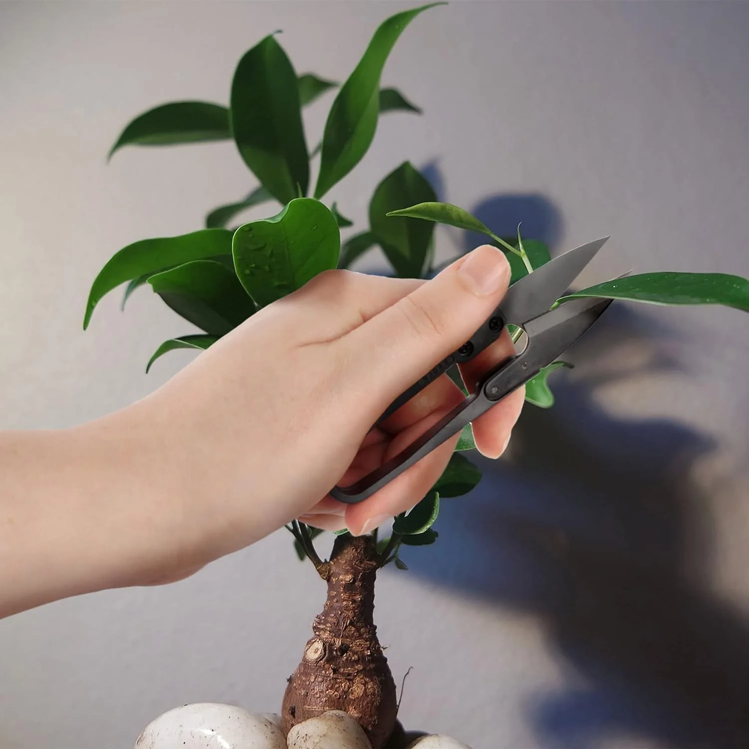 bonsai tree pruning trimming starter tool kit - leaf trimmers, and bamboo rake - 1 set