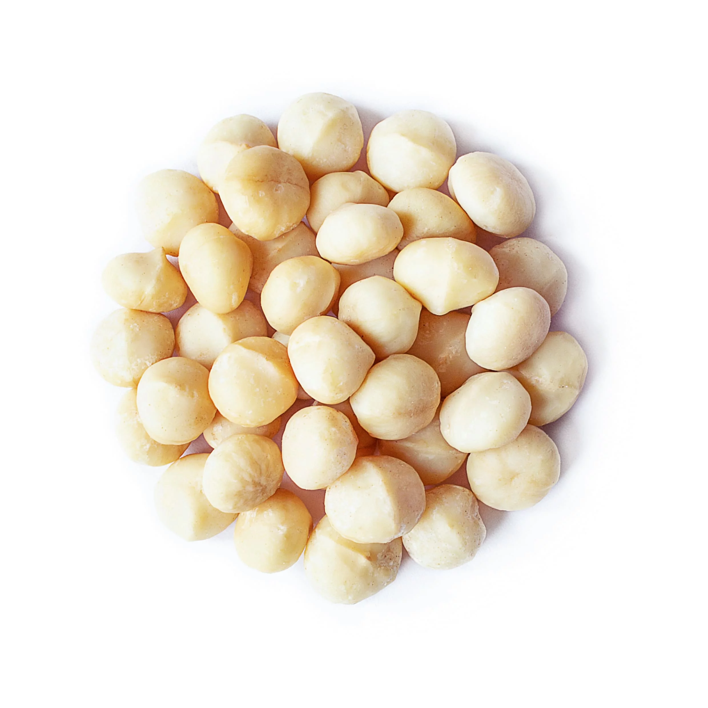 Food to Live, Whole Macadamia Nuts, 1 Pound, Non-GMO, Kosher