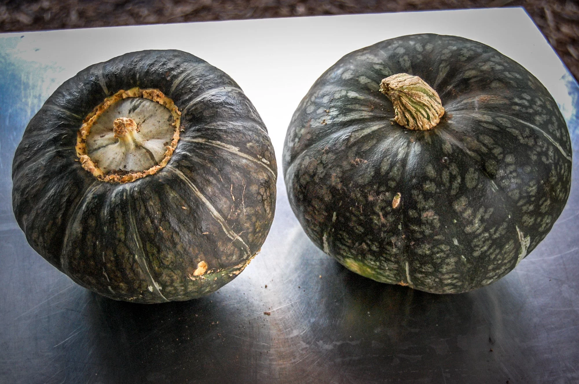 Burgess Buttercup Winter Squash Seeds