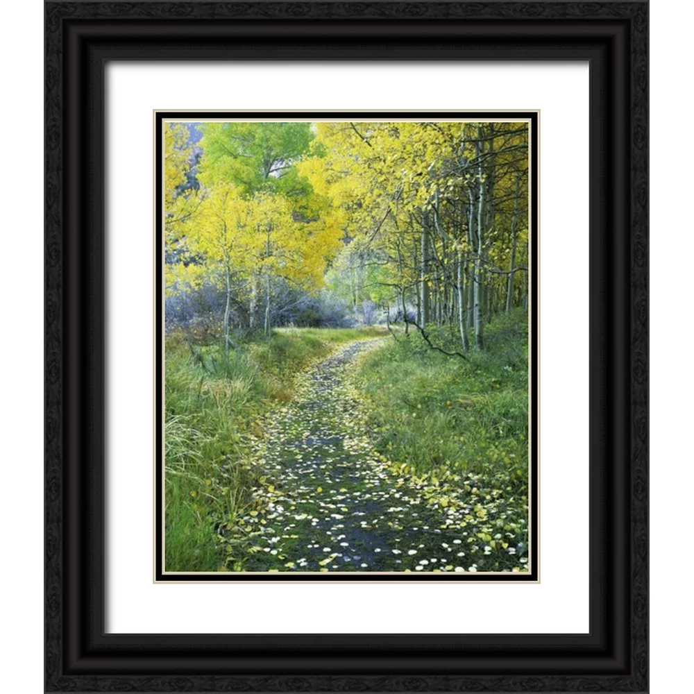 Flaherty, Dennis 15x18 Black Ornate Wood Framed with Double Matting Museum Art Print Titled - CA, Eastern Sierra Leaf-covered path into forest