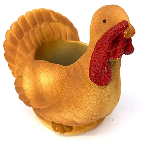 Turkey Succulant Planter Pot - Small Brown Small 4inch