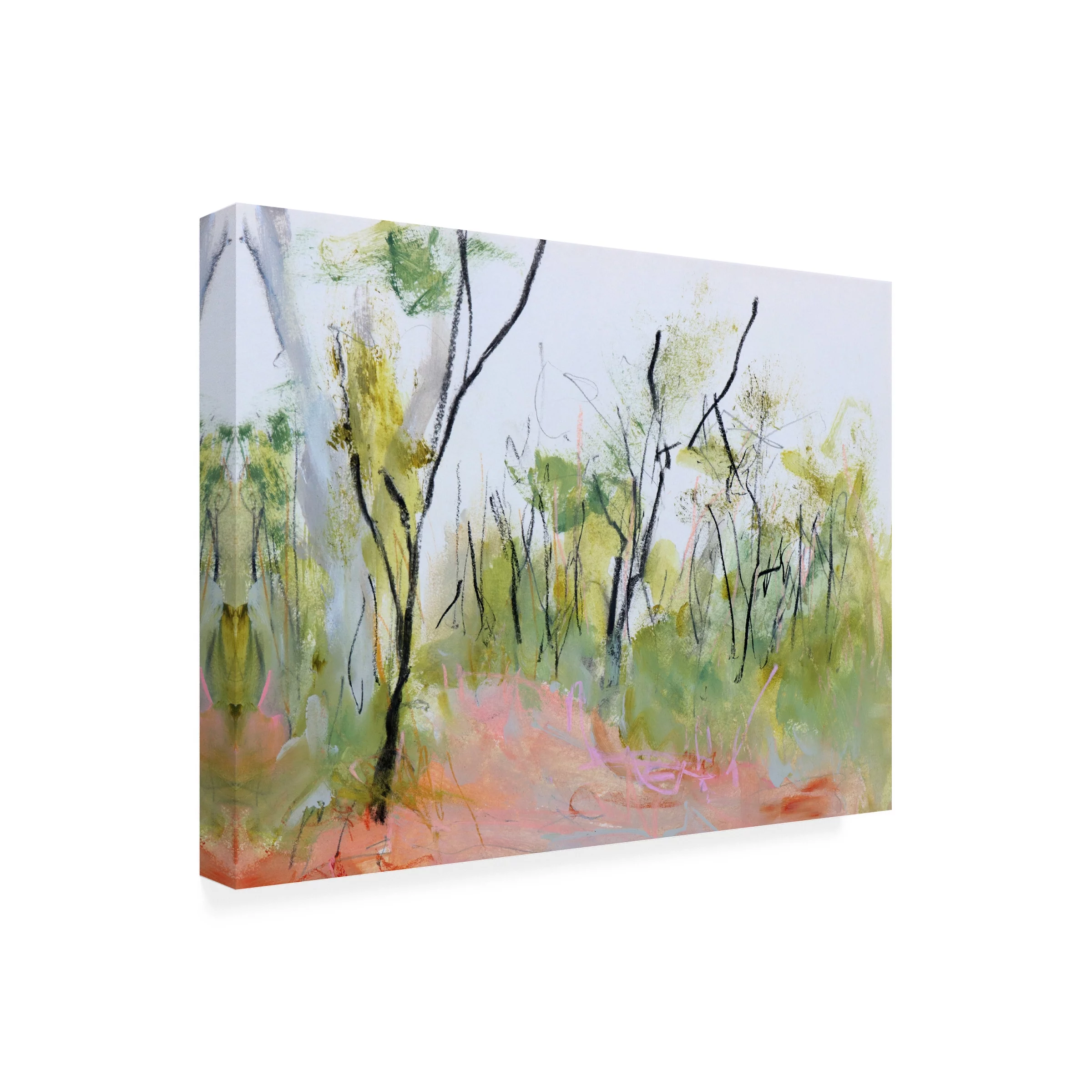 Ann Gordon 'Loop Trail Through Swamp Oak Woodland' Canvas Art